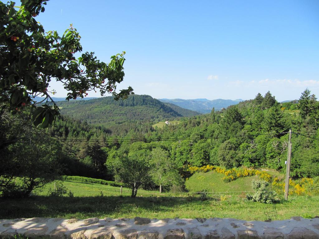 Le Petit Rias Gite Soleil Saint Maurice en Chalencon Екстериор снимка