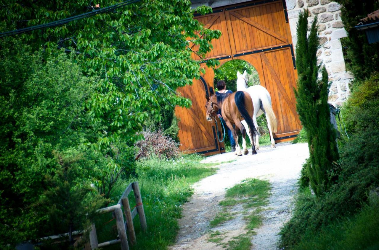 Le Petit Rias Gite Soleil Saint Maurice en Chalencon Екстериор снимка
